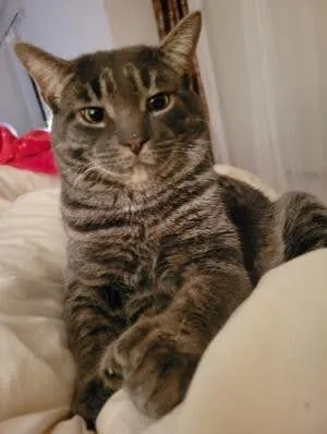 Photo de Kevin, client satisfait de Mon inspecteur en bâtiment