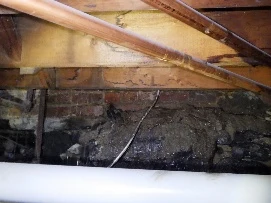 Fissure de fondation en béton avec infiltration active.