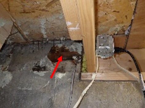 Pourriture de la structure de bois découverte au sous-sol.