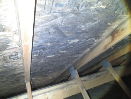 Preuve d'inspection à Auteuil : moisissure noire généralisée sur le pontage en OSB dans un entretoit mal ventilé.