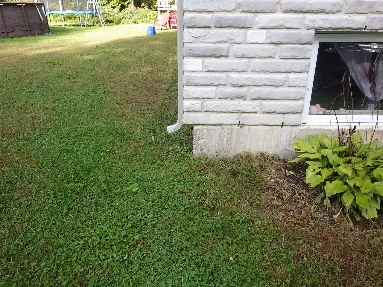 Pente négative du terrain et descente de gouttière manquante.